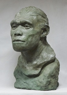 Homo heidelbergensis (Араго, Франция)